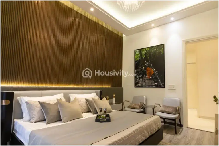 Maxvel Alvista Image 5