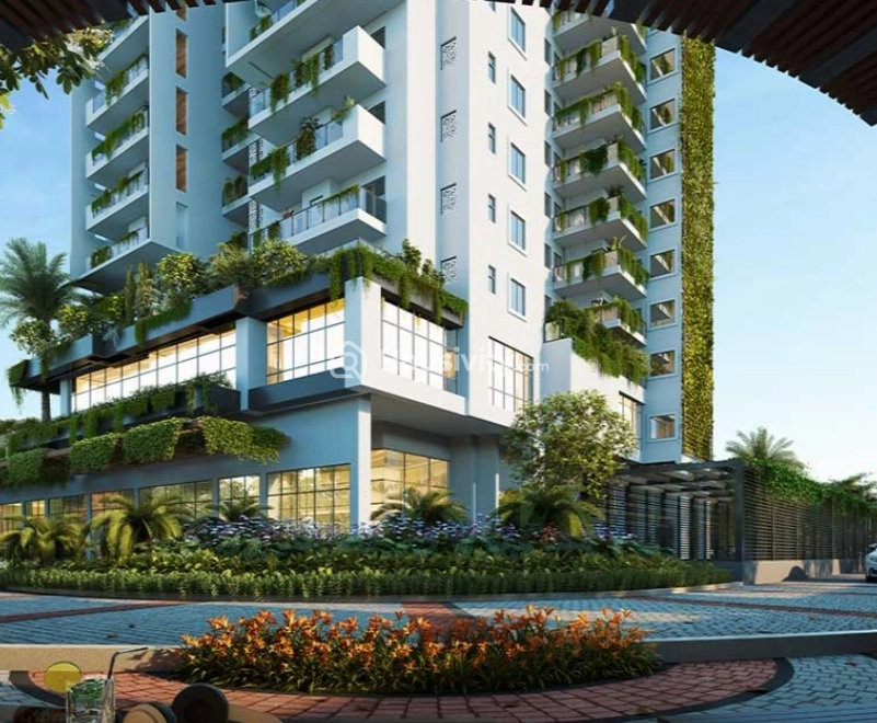 Alphacorp Sky1 Image 3