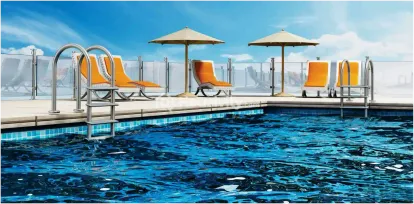 The Platinum Image 11