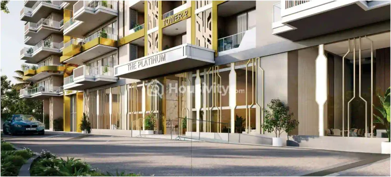 The Platinum Image 2