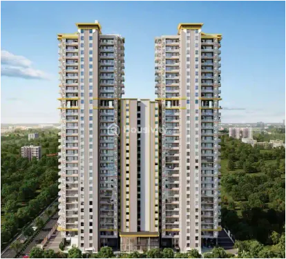 The Platinum Thumbnail