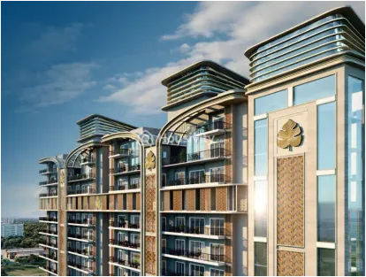 Noble Ayra 1 Image 6