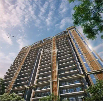 Noble Ayra 1 Image 8