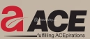 acegroup Logo