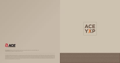 ACE YXP Brochure Image 1