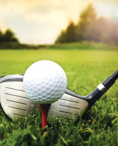 ATS Kingston Heath Image 7