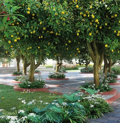 ATS Pious Orchards Image 11