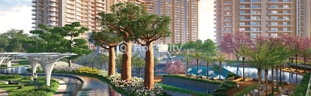 Ivory County Image 2