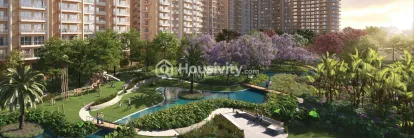 Ivory County Image 5