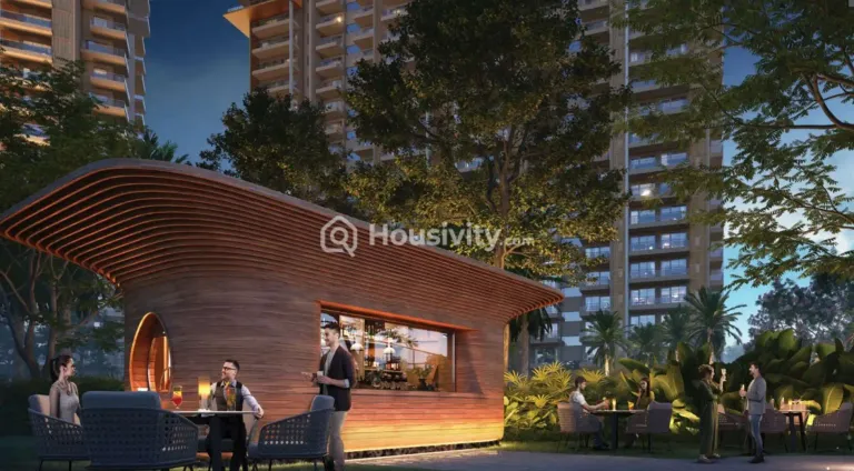 Ivory County Image 7