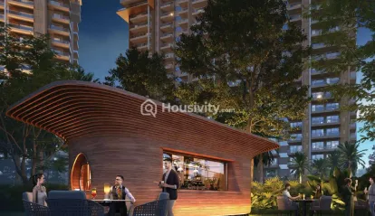 Ivory County Gold Image 4