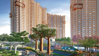 Ivory County Gold Image 3