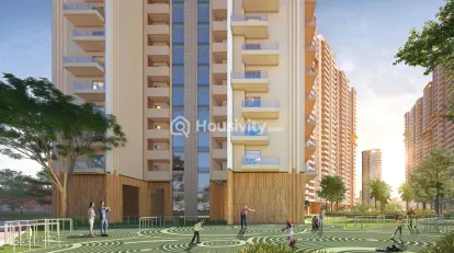 Ivory County Gold Image 1