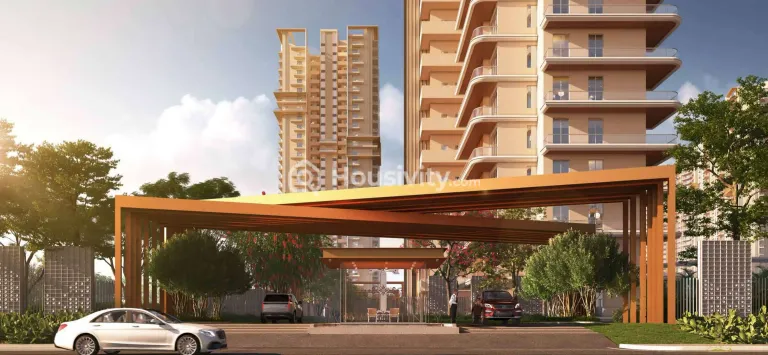 Ivory County Gold Image 5