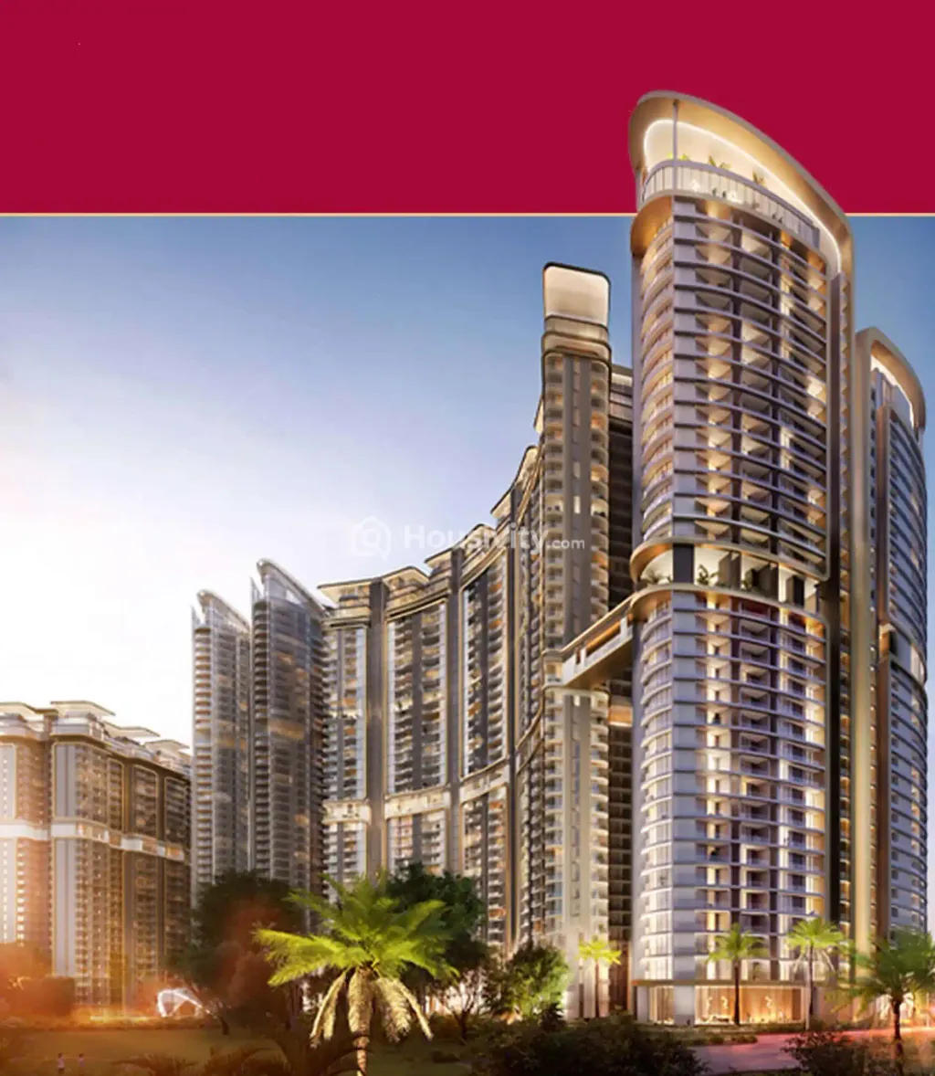 The Amaryllis 4 Image 1