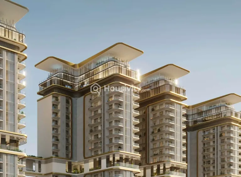 The Amaryllis 4 Image 5