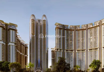 The Amaryllis 4 Thumbnail