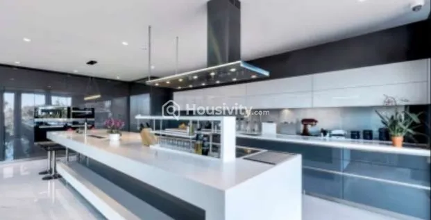 India Mayuri Maple Image 3