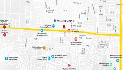 India Mayuri Maple Image 4