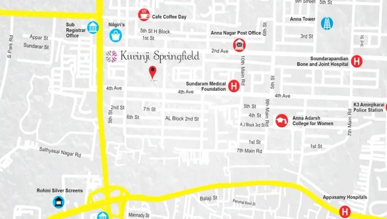 India Kurinji Springfield Image 4