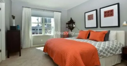 India Fair Field Image 3