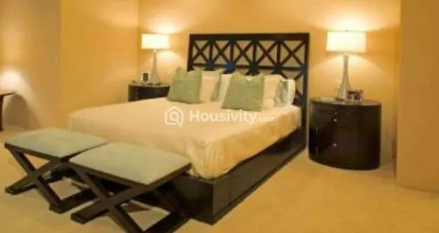 India Ekarnika Image 1