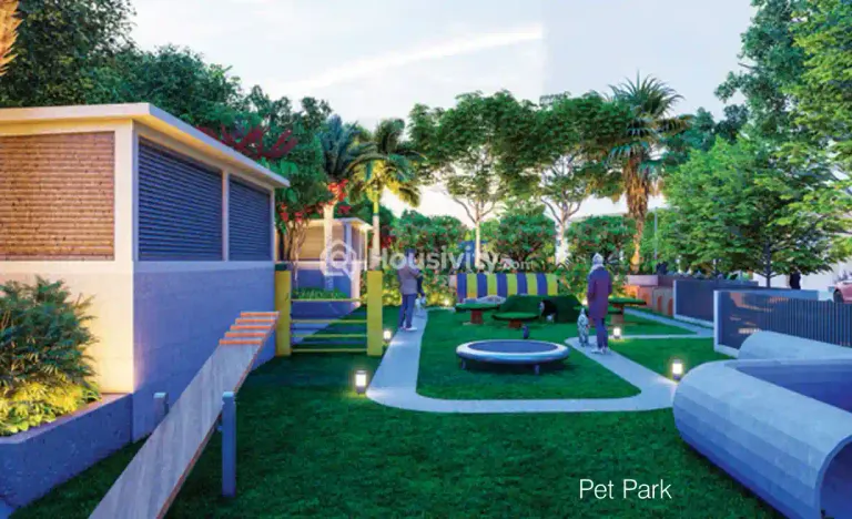 Visions Arsha Image 2