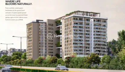 Kesineni Ryse Image 2