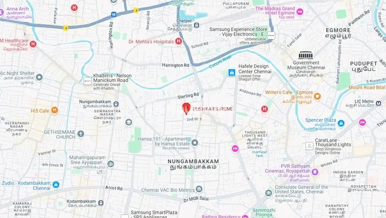 Pushkar Irene Image 4