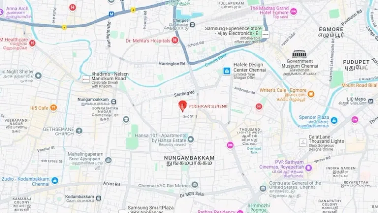 Pushkar Irene Image 4