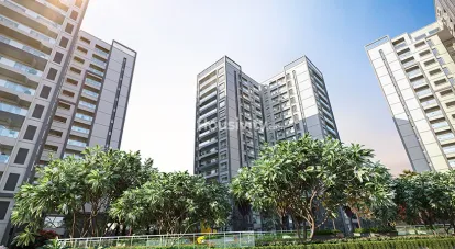 Prestige Pine Forest Image 11