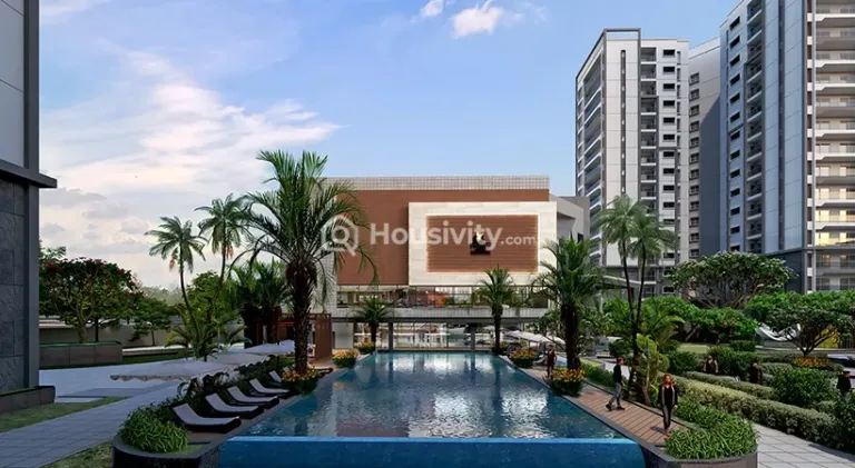 Prestige Pine Forest Image 9