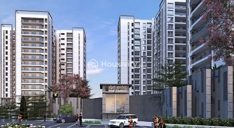 Prestige Pine Forest Image 2