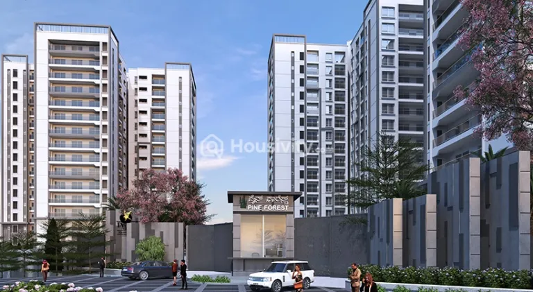 Prestige Pine Forest Image 2