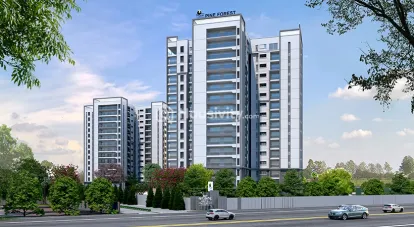 Prestige Pine Forest Image 14