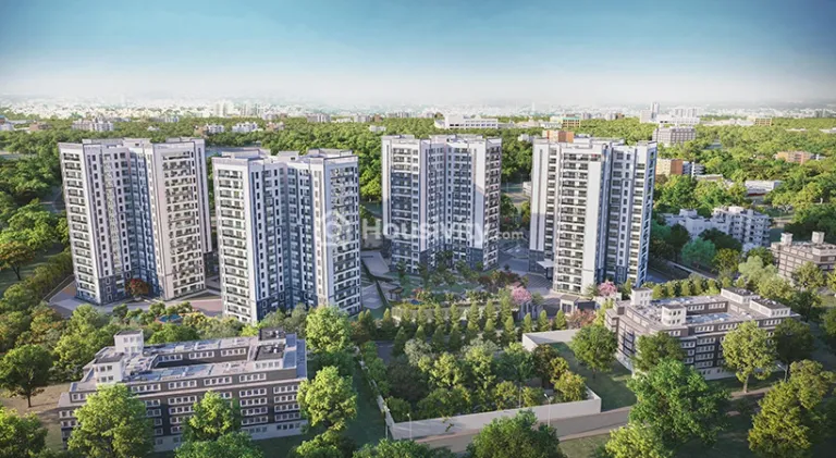 Prestige Pine Forest Image 4