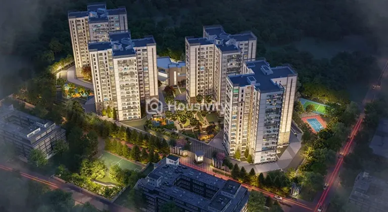 Prestige Pine Forest Image 12