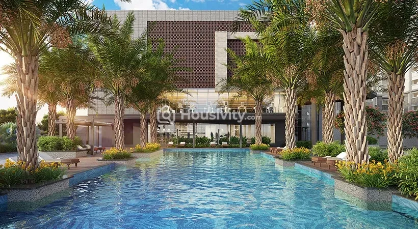 Prestige Pine Forest Image 3