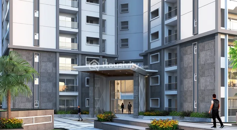 Prestige Pine Forest Image 5