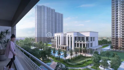 Prestige Lavender Fields Image 7