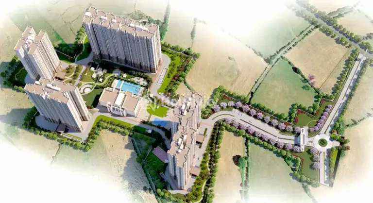 Prestige Lavender Fields Image 18