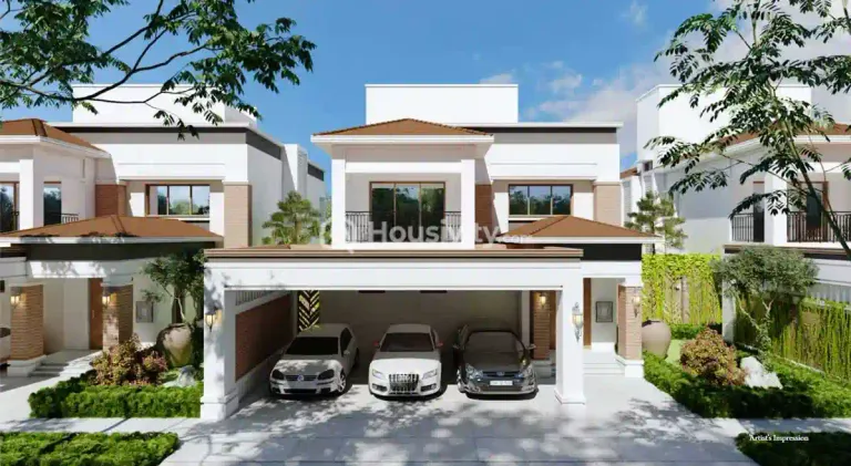 Prestige Dew Drops Image 5