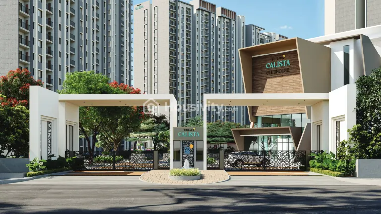 Brigade Calista Image 11