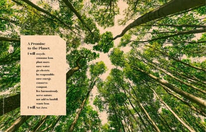 Brigade Citrine Brochure Image 7