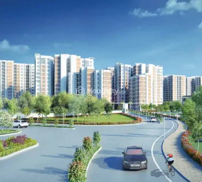 Brigade Ivory Image 3