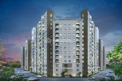 Brigade Ivory Thumbnail