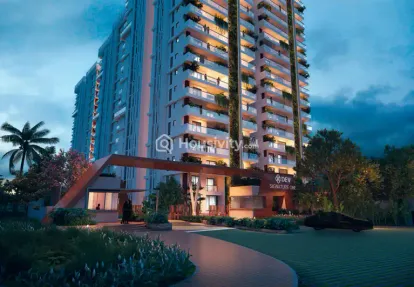 Dev Signature One Image 5