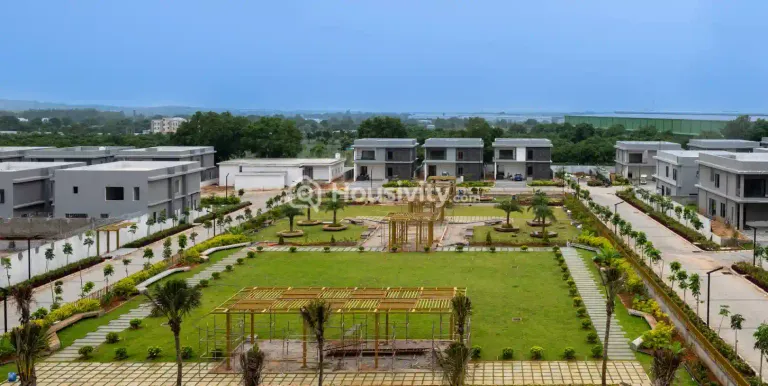 Subishi Forest Edge Image 20