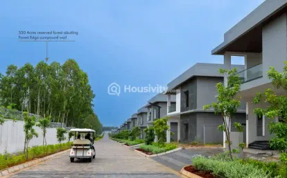 Subishi Forest Edge Image 6