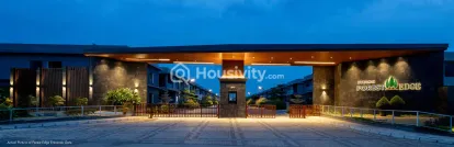 Subishi Forest Edge Image 4